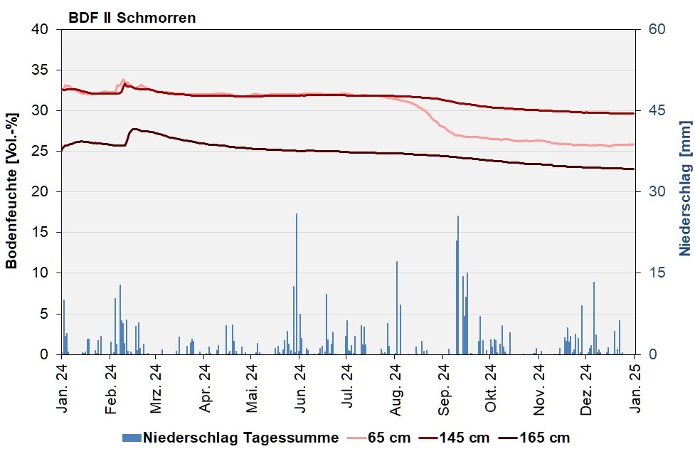 Die Abbildung zeigt den Verlauf der Bodenfeuchten und der Niederschläge als Tagessummen in den letzten 12 Monaten in Schmorren.