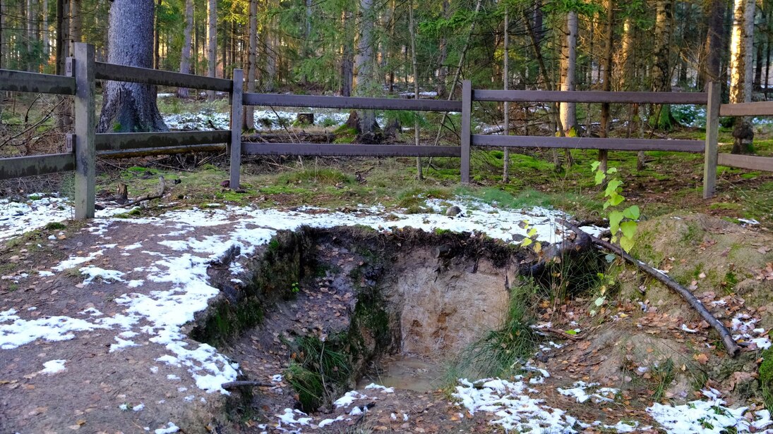 Im Vordergrund ist eine Bodenprofilgrube zu sehen, rings herum sind Schneereste zu erkennen. Die Bodenprofilgrube ist mit braunen Balken umrandet und im Hintergrund sind Waldbäume zu erkennen.