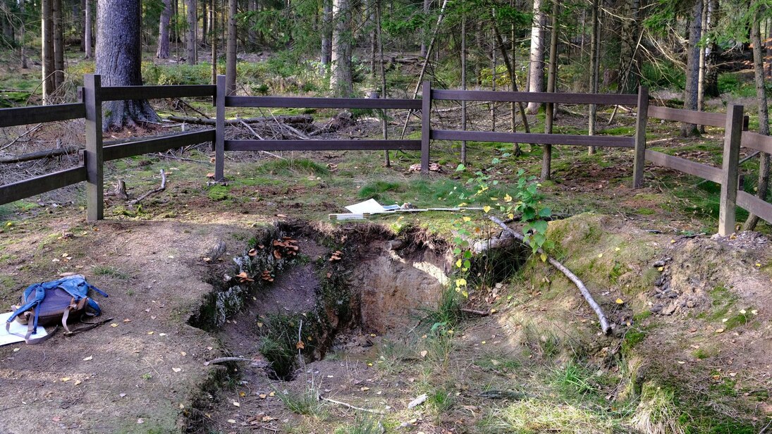 Das Foto zeigt die Bodenprofilgrube eines Stauwasserbodens, links daneben liegt ein blauer Rucksack und ein Zettel auf dem Boden, in der Mitte über dem Bodenprofil liegen Zettel und ein Bodenprofil-Zollstock.