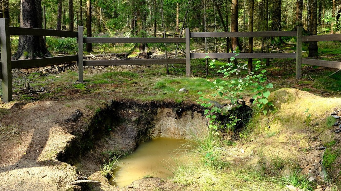 Bild von der Bodenprofilgrube, einem umzäunten ausgehobenen Loch im Waldboden, dessen sichtbare Abbruchkante glatt abgestochen wurde. Die Grube ist zur Hälfte mit dreckigem Wasser gefüllt.