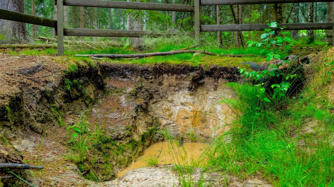 Das Foto zeigt eine Bodenprofilgrube, die mit zum Teil mit Wasser gefüllt ist und mit einem braunen Geländer umrandet ist.